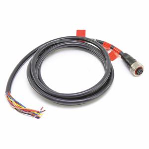 FIREYE 59-546-3 Quick Disconnect Wire, 10 Ft Length | CR3AYG 116D44