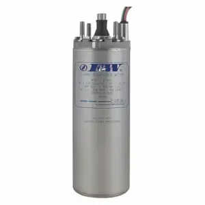 FLINT & WALLING 137416 Deep Well Submersible Pump Motor, 3/4 Hp, 3, 450 Nameplate Rpm, 230VAC, 2 Wires | CP6BQC 422X52