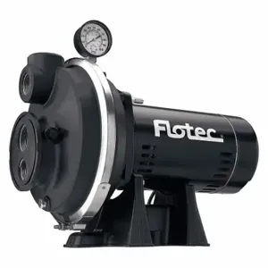 FLOTEC FP4332 Convertible Well Jet Pump | CP6BZN 58MX30