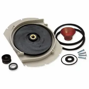 FLOTEC FPP5002 Overhaul Kit | CP6BZL 797F84