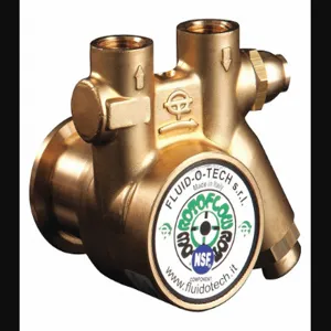 FLUID-O-TECH PA 201X Rotary Vane Pump, 3/8 Inch Inlet/Outlet NPTF, 78 gph Max. Flow, Brass | CJ3FFN 423J65