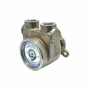 FLUID-O-TECH PA410 Rotary Vane Pump, 3/8 Inch Inlet/Outlet NPTF, 144 gph Max. Flow | CJ3FFY 423J91