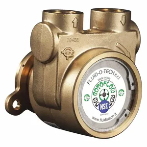 FLUID-O-TECH PA700F Rotary Vane Pump, 1/2 Inch Inlet/Outlet NPTF, 232 gph Max. Flow, Brass | CJ3FGU 423J93