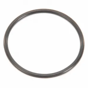 FOLLETT PI500496 Bearing Housing O-Ring | CP6EJR 31MX82