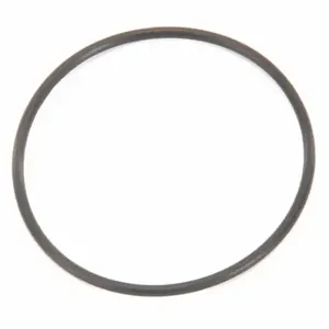 FOLLETT PI501063 Mounting Base O-Ring | CP6EEM 31MX40