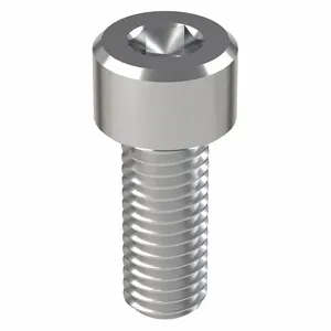 FOREVERBOLT FB3MSHCAPS812520P10 Socket Head Cap Screw, 316 Stainless Steel M8 x 1.25 X 20mm Size, 10Pk | AH7CML 36RK33