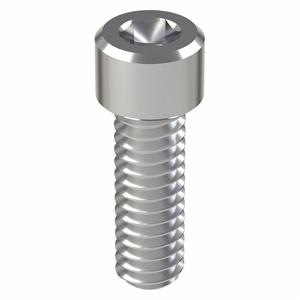 FOREVERBOLT FB3SCAPS14201P10 Socket Head Cap Screw, 316 Stainless Steel 1/4-20 X 1 Inch Size, 10Pk | AH7CLB 36RK01