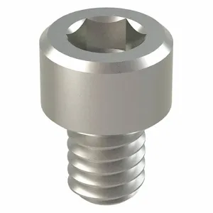 FOREVERBOLT FBSCAPS83238P100 Socket Head Cap Screw, 18-8 Stainless Steel, #8-32 X 3/8 Inch Size, 100Pk | AH7CKK 36RJ85