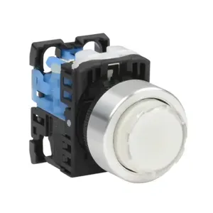 FUJI ELECTRIC AR22E0L-10E3WZA Pushbutton, 22mm, Momentary, LED Illuminated, 1 N.O. Contact, Plastic Base, Metal Bezel | CV6VBT