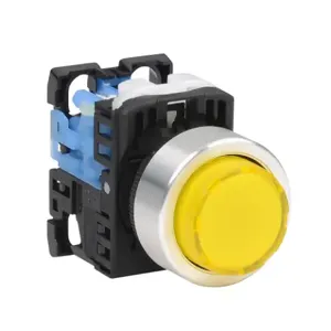 FUJI ELECTRIC AR22E0L-10E3YZA Pushbutton, 22mm, Momentary, LED Illuminated, 1 N.O. Contact, Plastic Base, Metal Bezel | CV6VBU