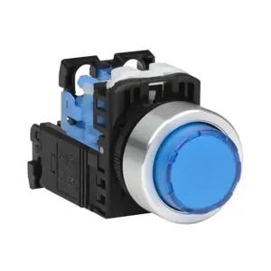 FUJI ELECTRIC AR22E0L-10L3SZA Pushbutton, 22mm, Momentary, LED Illuminated, 1 N.O. Contact, Plastic Base, Metal Bezel | CV6VBX