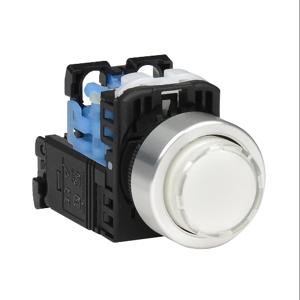 FUJI ELECTRIC AR22E0L-10L3WZA Pushbutton, 22mm, Momentary, LED Illuminated, 1 N.O. Contact, Plastic Base, Metal Bezel | CV6VBY