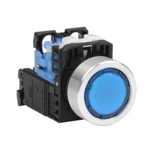 FUJI ELECTRIC AR22F0L-10L3SZA Pushbutton, 22mm, Momentary, LED Illuminated, 1 N.O. Contact, Plastic Base, Metal Bezel | CV6VCP