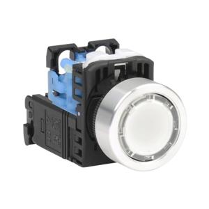 FUJI ELECTRIC AR22F0L-10L3WZA Pushbutton, 22mm, Momentary, LED Illuminated, 1 N.O. Contact, Plastic Base, Metal Bezel | CV6VCQ