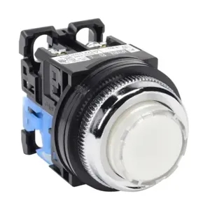 FUJI ELECTRIC AR30E0L-10E3WZC Pushbutton, 30mm, Momentary, LED Illuminated, 1 N.O. Contact, Plastic Base, Metal Bezel | CV6VFC