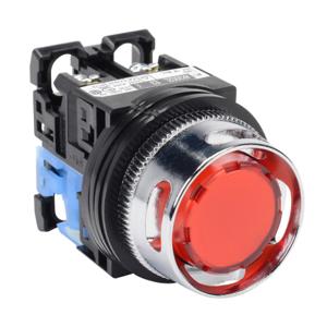 FUJI ELECTRIC AR30G2L-10E3RZC Pushbutton, 30mm, Momentary, LED Illuminated, 1 N.O. Contact, Plastic Base, Metal Bezel | CV6VGF