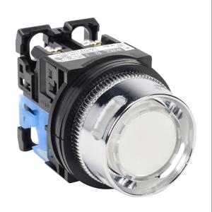 FUJI ELECTRIC AR30G2L-10E3WZC Pushbutton, 30mm, Momentary, LED Illuminated, 1 N.O. Contact, Plastic Base, Metal Bezel | CV6VGH