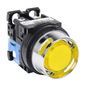 FUJI ELECTRIC AR30G2L-10E3YZC Pushbutton, 30mm, Momentary, LED Illuminated, 1 N.O. Contact, Plastic Base, Metal Bezel | CV6VGJ