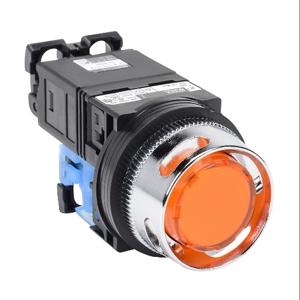 FUJI ELECTRIC AR30G2L-10L3AZC Pushbutton, 30mm, Momentary, LED Illuminated, 1 N.O. Contact, Plastic Base, Metal Bezel | CV6VGK