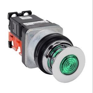 FUJI ELECTRIC AR30Q7L-11L3GZC Pushbutton, 30mm, Push-Pull/Momentary, LED Illuminated, 1 N.O./1 N.C. Contact | CV6VHD