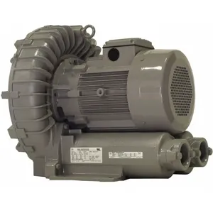 FUJI ELECTRIC VFZ701A-5W Regenerative Blower, 3 Phase, 575 Voltage, 2 Inch FNPT Inlet Size | CD3LJF 53WC14