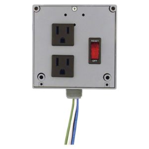 FUNCTIONAL DEVICES INC / RIB PSPW2RB4 Safety Switch Enclosed Power Control, With 2 Outlet, 4 A, 120 VAC | CE6ZWW