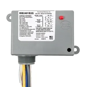 FUNCTIONAL DEVICES INC / RIB RIB2401B2G Enclosed Pre-Wired Relay, With 120 VAC Coil, DPDT, 20 A | CE4UYX