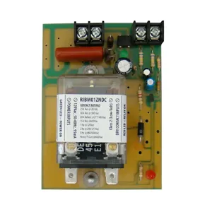 FUNCTIONAL DEVICES INC / RIB RIBM01ZNDC Control Relay, With 120 VAC Power Input, DPDT, 30 A | CE4VBU