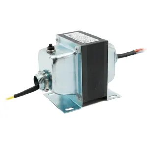 FUNCTIONAL DEVICES INC / RIB TR100VA009US Class 2 Transformer, With Circuit Breaker, 96 VA | CE4VPF