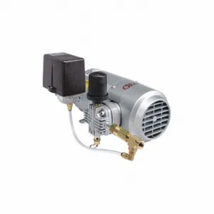 GAST 1LAA-46S-M100GX Piston Air Compressor, 0.166 hp, 1 Phase, 115VAC, 50 psi Max Continuous Pressure | CP6HRQ 33K633