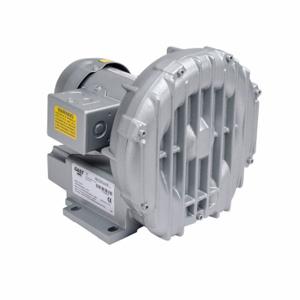 GAST R2103NX Regenerative Blower, 0.33 Hp, 39 Inch Hg Max Op Pressure, 42 Cfm Max Flow Rate | CP6HUQ 33K821