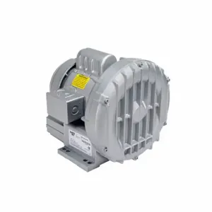 GAST R3305A-1 Regenerative Blower, 0.5 Hp, 43 Inch Hg Max Op Pressure, 40 Inch Hg Max Vacuum | CP6HUA 33K820