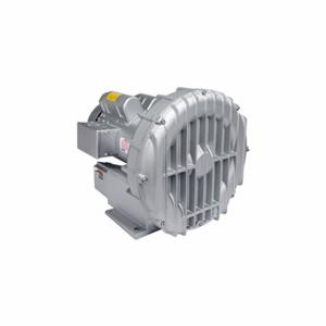 GAST R5125Q-50 Regenerative Blower, 2 Hp, 55 Inch Hg Max Op Pressure, 60 Inch Hg Max Vacuum | CP6HUP 33K806