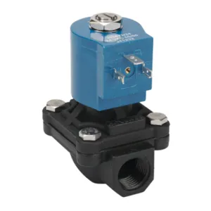 GC VALVES NS201YF24CPDG4 Potable Water Solenoid Valve, 2-Port, 2-Position, N.C., Nylon 6 Body | CV6XUZ