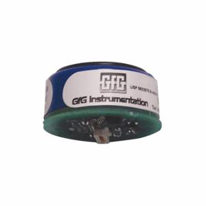 GFG INSTRUMENTATION 2810720 Replacement Sensor, Hydrogen Sulfide, 0 To 200 Ppm, 1 Ppm, -4 Deg To 122 Deg. F | CP6LMP 48RN09
