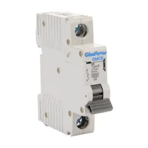 GLADIATOR GMCB-1B-2 Miniature Supplementary Protector, 2A, 277 VAC/ 60 VDC, 1-Pole, B Curve, Thermal Magnetic | CV7VWF