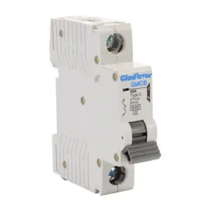 GLADIATOR GMCB-1C-40 Miniature Supplementary Protector, 40A, 277 VAC/ 60 VDC, 1-Pole, C Curve | CV7VXG