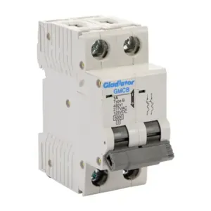 GLADIATOR GMCB-2B-1 Miniature Supplementary Protector, 1A, 480Y/ 277 VAC/ 125 VDC, 2-Pole, B Curve | CV7VYG