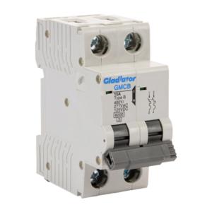 GLADIATOR GMCB-2B-15 Miniature Supplementary Protector, 15A, 480Y/ 277 VAC/ 125 VDC, 2-Pole, B Curve | CV7VYJ