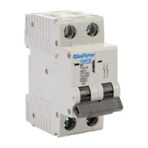 GLADIATOR GMCB-2B-2 Miniature Supplementary Protector, 2A, 480Y/ 277 VAC/ 125 VDC, 2-Pole, B Curve | CV7VYL