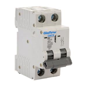 GLADIATOR GMCB-2B-20 Miniature Supplementary Protector, 20A, 480Y/ 277 VAC/ 125 VDC, 2-Pole, B Curve | CV7VYM