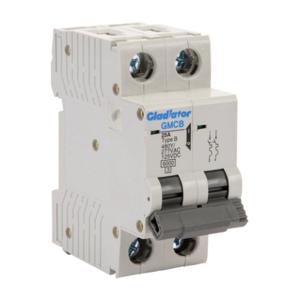 GLADIATOR GMCB-2B-25 Miniature Supplementary Protector, 25A, 480Y/ 277 VAC/ 125 VDC, 2-Pole, B Curve | CV7VYN