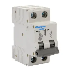 GLADIATOR GMCB-2B-5 Miniature Supplementary Protector, 5A, 480Y/ 277 VAC/ 125 VDC, 2-Pole, B Curve | CV7VYV