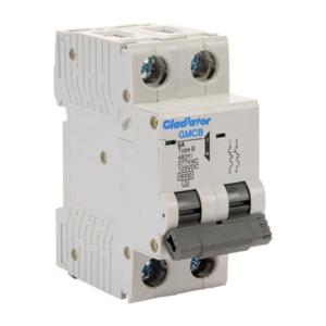 GLADIATOR GMCB-2B-6 Miniature Supplementary Protector, 6A, 480Y/ 277 VAC/ 125 VDC, 2-Pole, B Curve | CV7VYX