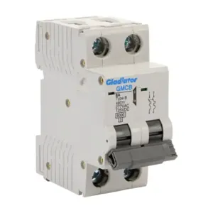 GLADIATOR GMCB-2B-8 Miniature Supplementary Protector, 8A, 480Y/ 277 VAC/ 125 VDC, 2-Pole, B Curve | CV7VYZ