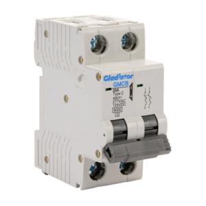 GLADIATOR GMCB-2C-25 Miniature Supplementary Protector, 25A, 480Y/ 277 VAC/ 125 VDC, 2-Pole, C Curve | CV7VZG