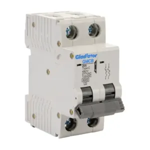 GLADIATOR GMCB-2C-25 Miniature Supplementary Protector, 25A, 480Y/ 277 VAC/ 125 VDC, 2-Pole, C Curve | CV7VZG