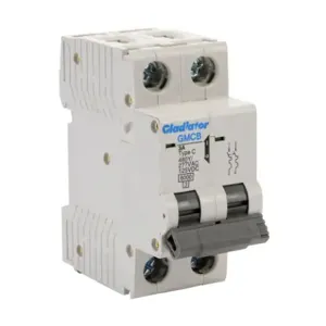 GLADIATOR GMCB-2C-3 Miniature Supplementary Protector, 3A, 480Y/ 277 VAC/ 125 VDC, 2-Pole, C Curve | CV7VZH