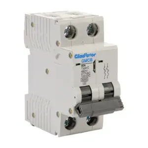 GLADIATOR GMCB-2C-40 Miniature Supplementary Protector, 40A, 480Y/ 277 VAC/ 125 VDC, 2-Pole, C Curve | CV7VZM