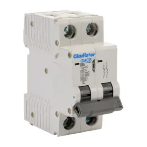 GLADIATOR GMCB-2C-63 Miniature Supplementary Protector, 63A, 480Y/ 277 VAC/ 125 VDC, 2-Pole, C Curve | CV7VZR